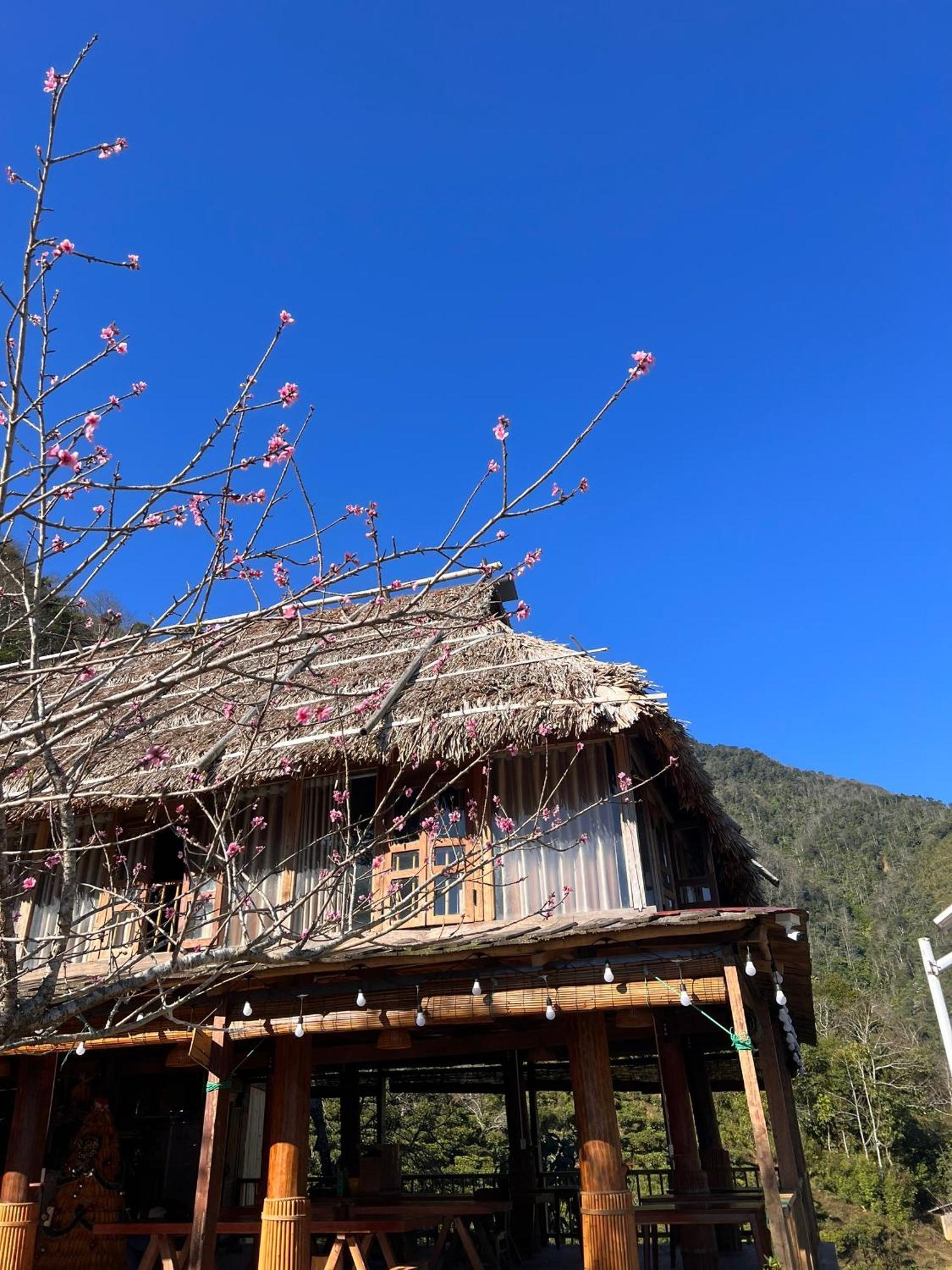 Ta Xua Ecolodge Bac Yen Kültér fotó